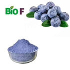 Health Care Product Natural Acai Berry Extract Powder CAS 879496-95-4