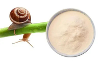 Cosmetic Snail Mucin Extract Powder Natural Nutrition Supplements