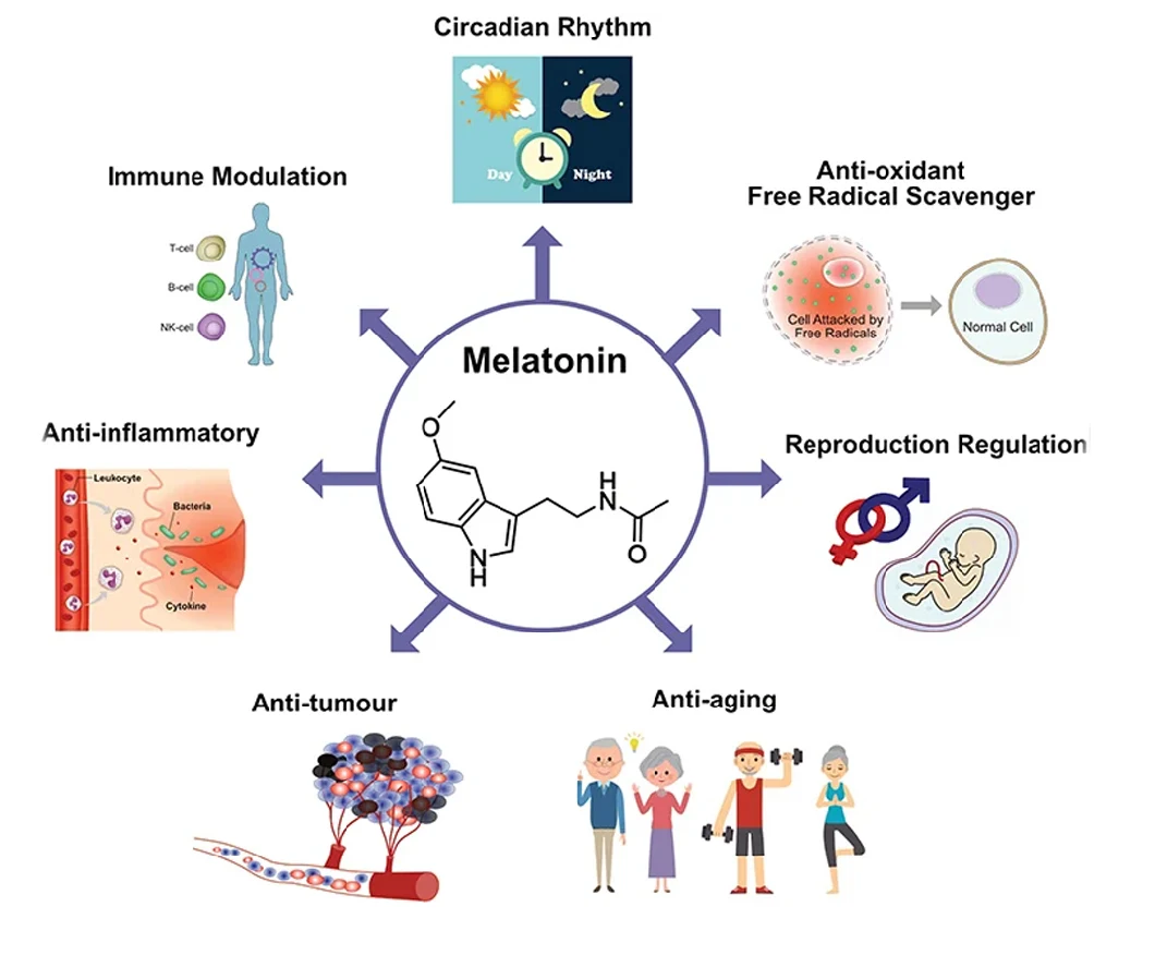 Melatonina CAS 73-31-4 Melatonina per regolare il sonno Miglioramento colore bianco Puirty 99% 1