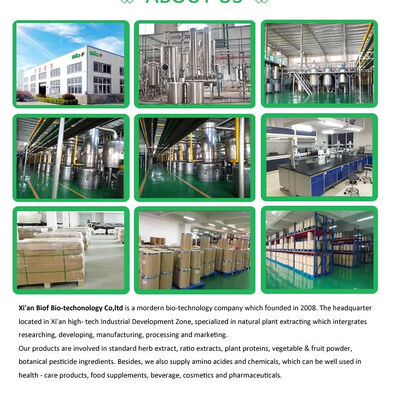 Shelf Life 2 Years Natural Nutrition Supplements Delivering Essential Vitamins and Minerals for Daily Health Maintenance