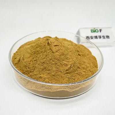 Estratto di Rhodiola Rosea in polvere di alta qualità CAS 97404-52-9 naturale puro